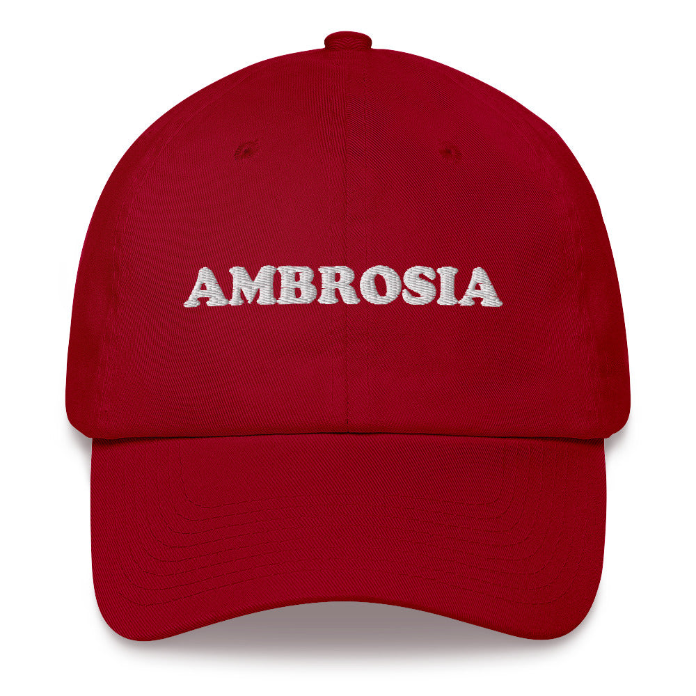Funny red dad hat - Show your love of ambrosia in this random ambrosia dad hat. It's a weird dad hat for foodies and ambrosia enthusiasts. The embroidered, unique dad hat is comfortable and made just for you. Celebrate your favorite foods and make a statement and wear this dad hat everyday or give it as a funny gift for foodies. 